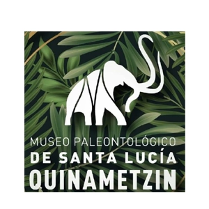 Socio RIVEMP - quinametzin